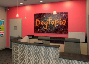 Dogtopia Daycare & Boarding