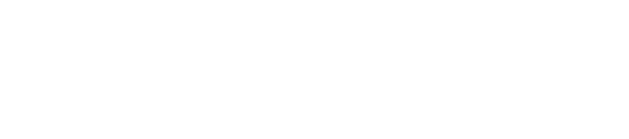 Bruegger's Bagels