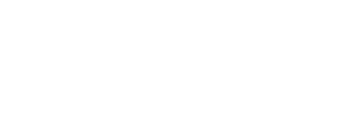 Noodles and Company